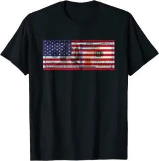 American Flag $100 Dollar Bill T-Shirt